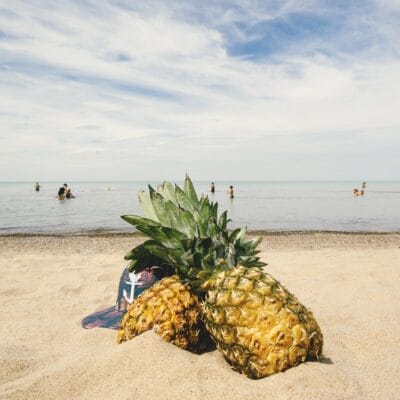 pineapples, sand, beach, nature, summertime, summer, summer vibes, fruit, tropical fruit, blanket, sunglasses, aviators, party, relax, leisure, hat, people, recreation, swimming