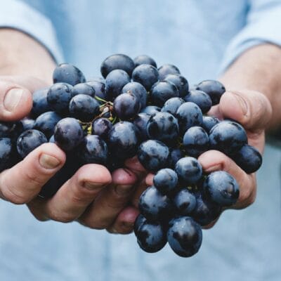 person holding grapes
